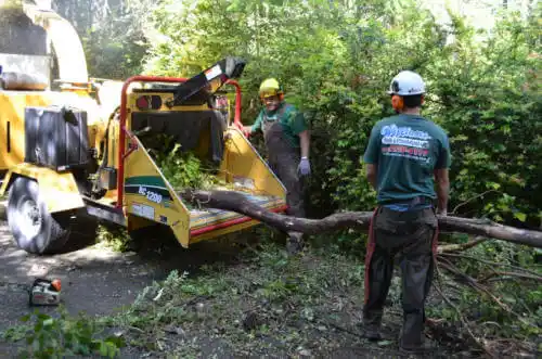 tree services Teton